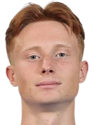 A.普罗什恰德尼